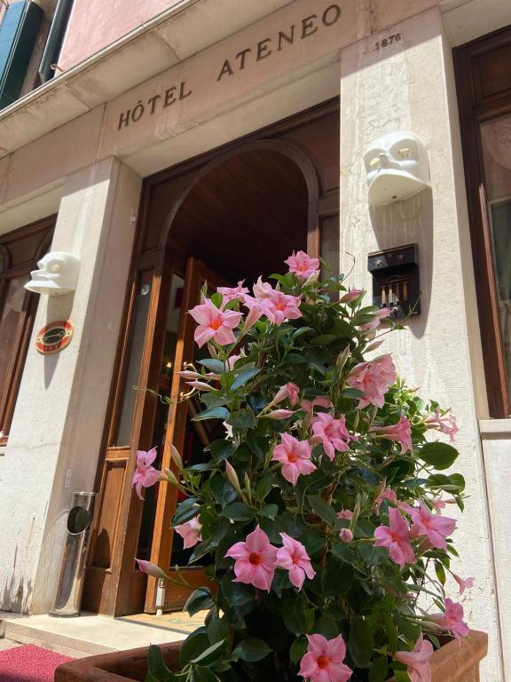 Foto della struttura: Hotel Ateneo