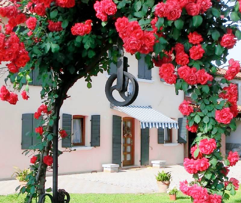 Foto della struttura: Hotel Equinozio 3*S