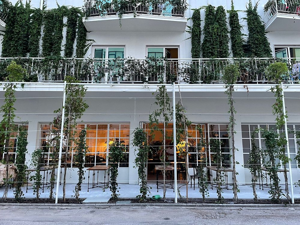 Foto del ristorante: Panisfizio