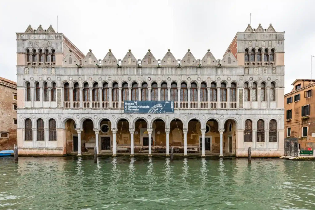 Museo di storia naturale