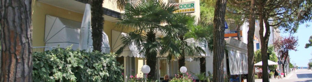 Foto della struttura: Hotel Oder
