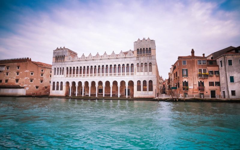 Immagine dell’esperienza: Museo di Storia Naturale (Museo di Storia Naturale): Biglietto d’ingresso + Palazzo Ducale