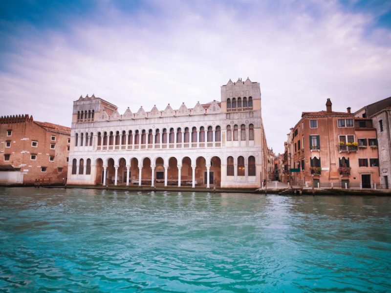 Immagine dell’esperienza: Museo di Storia Naturale (Museo di Storia Naturale): Biglietto d’ingresso + Palazzo Ducale