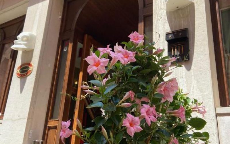 Foto della struttura: Hotel Ateneo