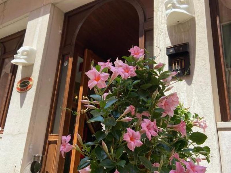 Foto della struttura: Hotel Ateneo