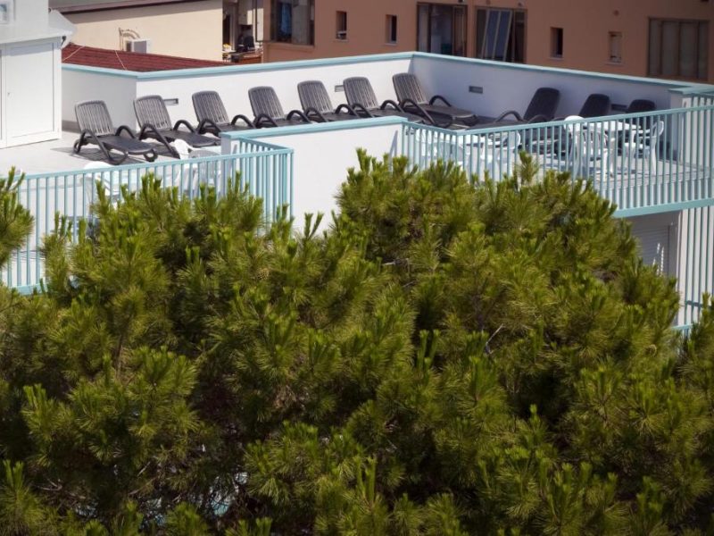 Foto della struttura: Hotel Raffaello