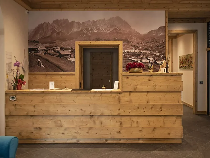 Hotel Regina Cortina Camera Reception