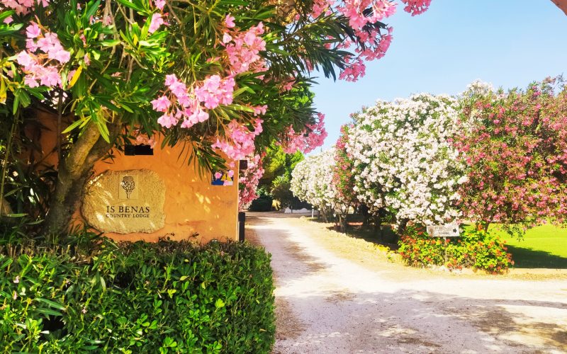 Foto della struttura: Villa Martin Hotel