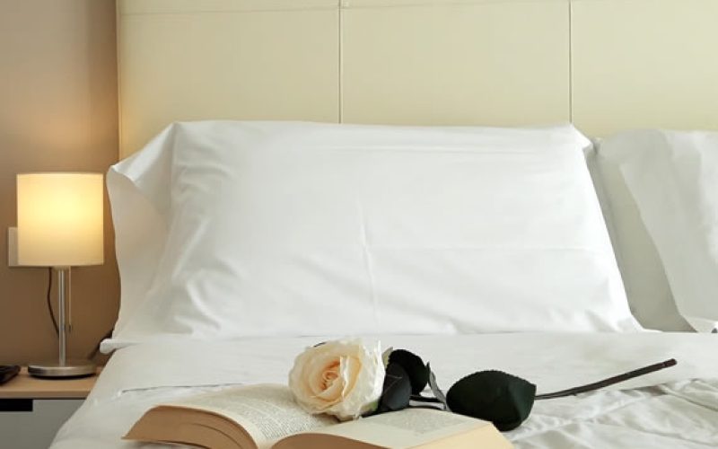 Foto della struttura: Hotel Danubio