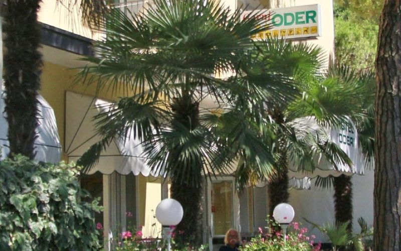 Foto della struttura: Hotel Oder