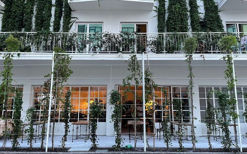 Foto del ristorante: Panisfizio