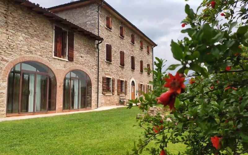 Foto della struttura: Costa degli Ulivi