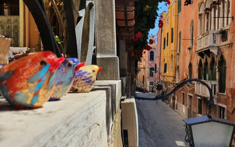 Foto della struttura: B&B Beroni a Venezia